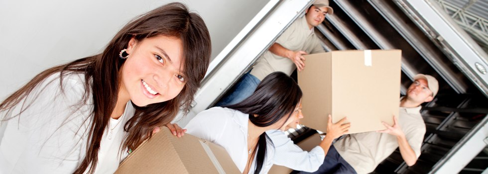 Professional Removalists Banora Point QLD
